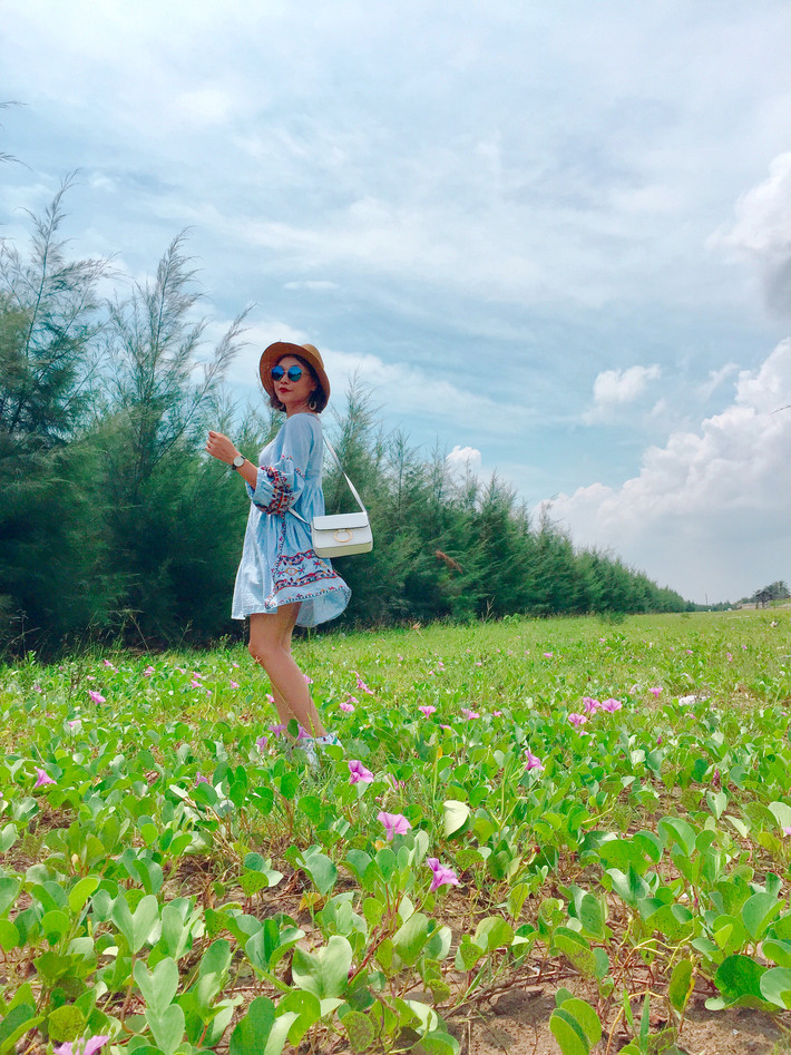 Những cánh đồng hoa tím bát ngát, bên những rặng phi lao nghe sóng vỗ rì rào. Ảnh: Hồ Trung.