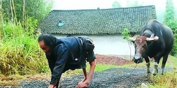 Ban đầu, có giả thuyết cho rằng đây có thể là hiện tượng thoái hóa gen. Tuy nhiên, khi nghiên cứu kỹ hơn, các nhà khoa học nhận thấy mọi chuyện phức tạp hơn nhiều. Trẻ em ở ngôi làng này khi mới sinh ra đều phát triển như những đứa trẻ bình thường khác với đầy đủ chức năng vận động.