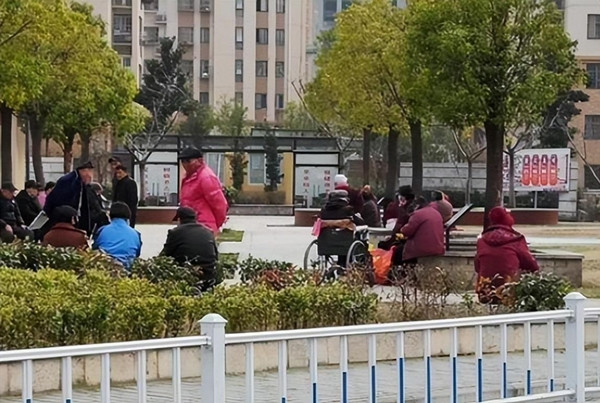 Vào ngày 16/2/2016, Trương Lan Chi cùng với Triệu Kiến Quốc, một người hàng xóm với mối quan hệ không rõ ràng, đã lừa Triệu Dương đến một nơi hẻo lánh. Tại đây, Trương Lan Chi và Triệu Kiến Quốc đã ra tay tàn nhẫn, giết chết nữ y tá bằng nhiều nhát dao. Điều đáng sợ hơn là Trương Lan Chi không hề hối hận sau khi gây án. Thậm chí, trong lời khai tại cơ quan điều tra, Trương Lan Chi còn cho rằng con dâu "xứng đáng" với cái chết vì đã cướp đi con trai bà.