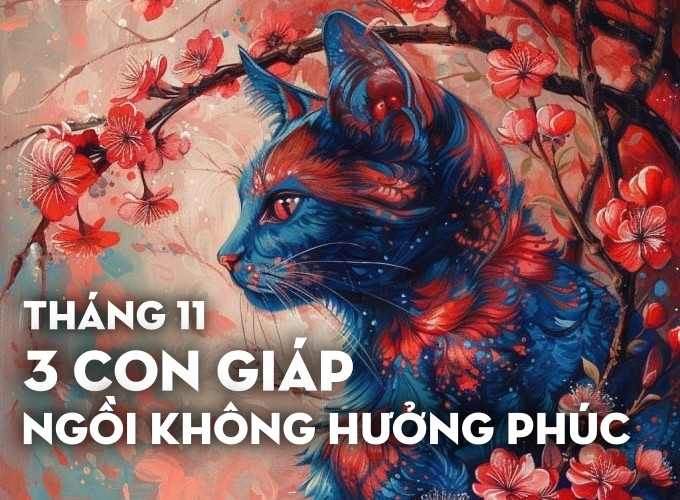 Bước sang tháng 11, các vì tinh tú như dệt nên những bức tranh rực rỡ, trải đường cho 3 con giáp Dần, Tý, Mão bước lên con đường rực sáng của may mắn và thành công. Họ đón nhận làn sóng may mắn liên tiếp, vừa có được sự công nhận về danh vọng, vừa phát lên trông thấy về tài vận, niềm vui tràn ngập cuộc sống.