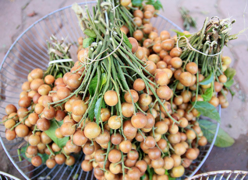 Nguyên liệu làm mứt hồng bì gồm: Hồng bì: 1kg; Đường: 0.5 kg.