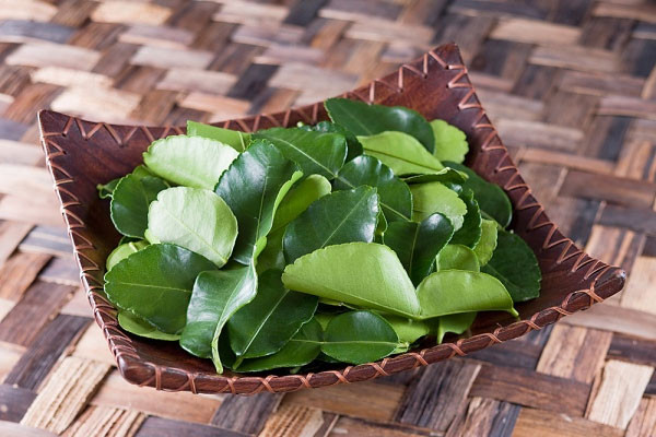 Trà lá chanh. Đây là một trong các loại trà thảo dược tốt nhất cho tiêu hóa. Nó giúp làm dịu hệ thống tiêu hóa, điều trị đau bụng, nôn mửa, đầy bụng và đầy hơi. Trà lá chanh cũng chứa nhiều vitamin, khoáng chất và rất giàu chất chống oxy hóa nên rất tốt cho sức khỏe. Ngoài ra, nó còn có thể làm dịu đau bụng kinh, giảm sự kích động thần kinh, giải quyết các vấn đề giấc ngủ, rối loạn tiêu hóa chức năng và co thắt ở niệu đạo.