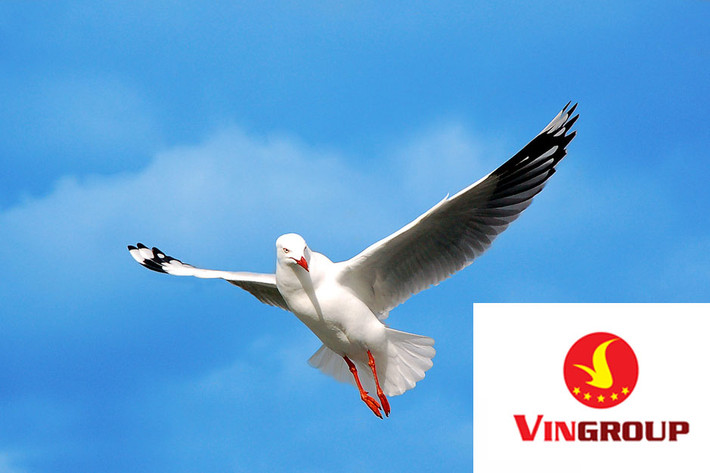 Sâu xa hơn, nhà thiết kế đến từ nước Ý đang truyền tải hình ảnh về một đất nước Việt Nam dù đương đầu với nhiều thử thách nhưng vẫn không ngừng đi lên, không ngừng phát triển và chứng tỏ được bản lĩnh cũng như niềm khát vọng con người Việt Nam.