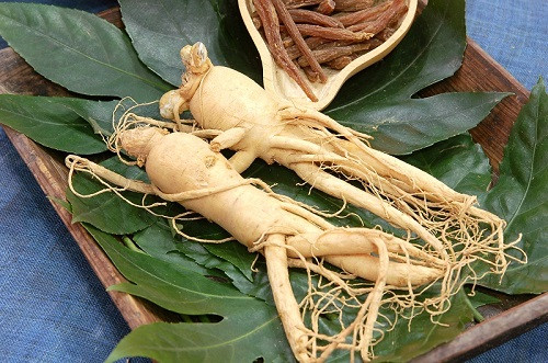 Một lợi ích khác của nhân sâm đó là tăng cường sức đề kháng, đặc biệt là vào mùa đông. Ảnh: ruybangtim.