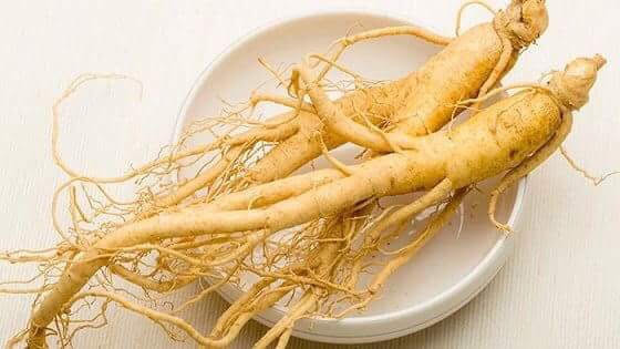 Nhân sâm làm giảm căng thẳng và lo âu, giúp bạn cảm thấy tràn đầy năng lượng hơn, hào hứng hơn bớt lo lắng hơn. Ảnh: baotintuc.