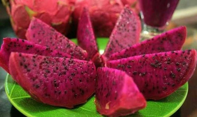 Chính lượng chất xơ dồi dào trong thanh long có thể kiểm soát lượng đường trong máu và ngăn ngừa nguy cơ mắc bệnh tiểu đường. Ảnh: steemitimages.