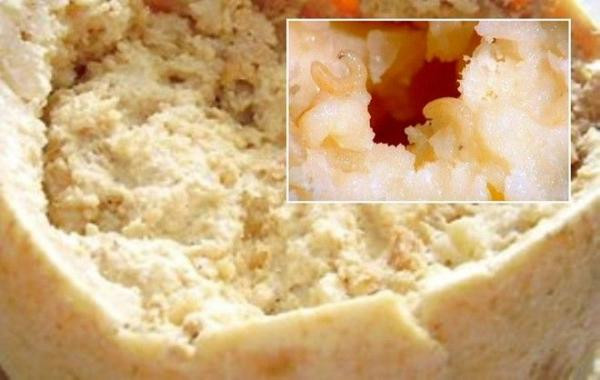 Phô mai giòi Casu Marzu, Ý. Món ăn đặc sản này được làm từ sữa cừu. Phô mai này đã bị EU cấm nhưng những người thích ăn vẫn khẳng định nó rất ngon. Khi bạn ăn món đặc sản đáng sợ này, những con giòi có thể sống sót và làm tổ trong ruột bạn, gây nôn mửa, tiêu chảy và rút ruột nặng trước khi ra ngoài theo đường hậu môn