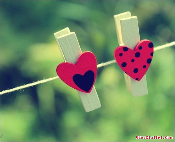Chúng ta thường mong đợi rằng gặp đúng người mình yêu thương vào đúng thời điểm. Nhưng rất nhiều người đã không thực hiện được mong ước này, họ thường gặp đúng người mình yêu thương nhưng sai thời điểm. Ví dụ như, rõ ràng chúng ta đã kết hôn nhưng sau đó người yêu thương mới xuất hiện. Vậy thì làm thế nào nếu khi bạn ở trường hợp trớ trêu trên? Liệu bạn có từ bỏ cuộc hôn nhân hiện có để theo đuổi tình yêu đích thực hay không?