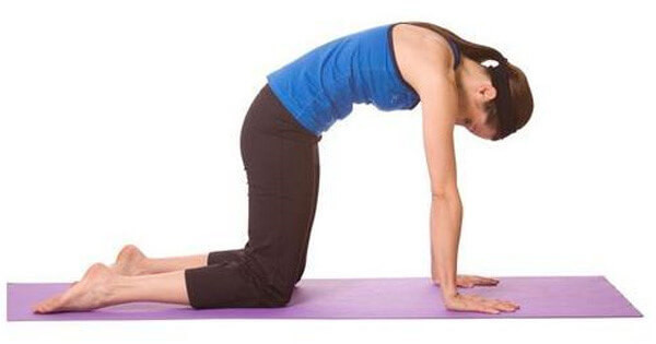 Tư thế con mèo sẽ giúp massage nhẹ nhàng các cơ quan nội tạng và giúp lưu thông máu tốt hơn trên toàn cơ thể. Ảnh: hoadavietnam.