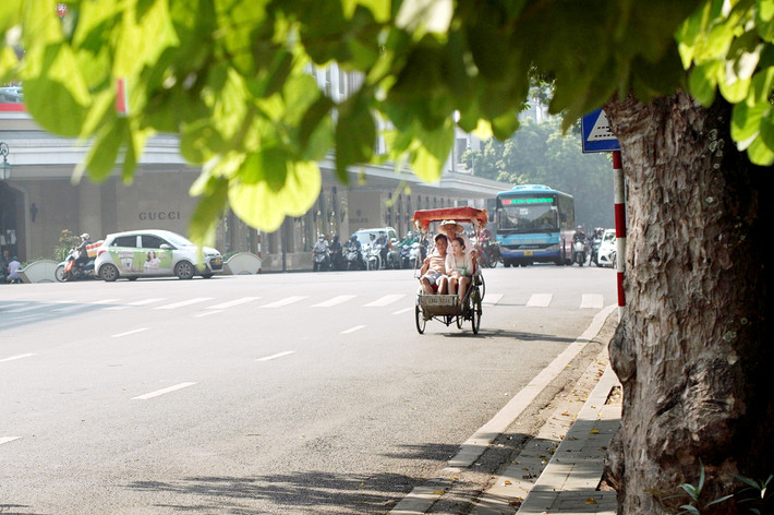  Hà Nội vào thu đẹp lắm, những con đường góc phố hàng cây được phủ lên những vạt nắng vàng như mật.