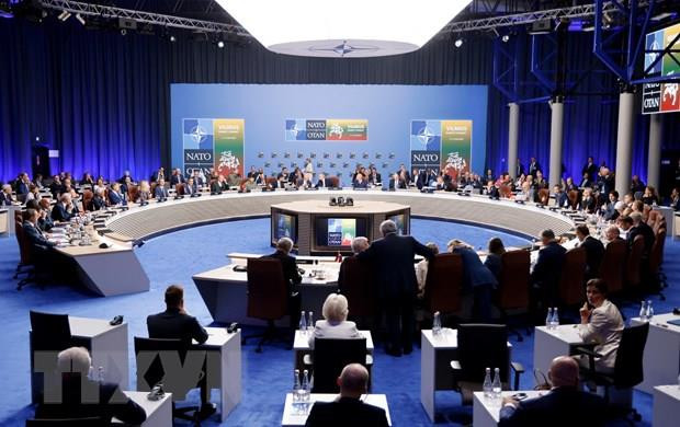 Hội nghị thượng đỉnh NATO sắp được tổ chức. Nếu Ukraine muốn tiếp tục được NATO hỗ trợ, thì họ cần phải giành được chiến thắng xứng đáng; nếu không, người dân các nước NATO sẽ không sẵn lòng tiếp tục ủng hộ Ukraine.