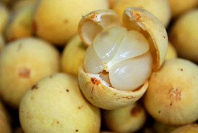 Ăn quả bòn bon còn giúp ngăn ngừa lão hóa sớm. Lượng vitamin C dồi dào trong bòn bon sẽ bảo vệ các phân tử quan trọng như protein, chất béo, carbohydrate, acid nucleic… khỏi các gốc tự do , độc tố và chất ô nhiễm. Ảnh: webtretho.