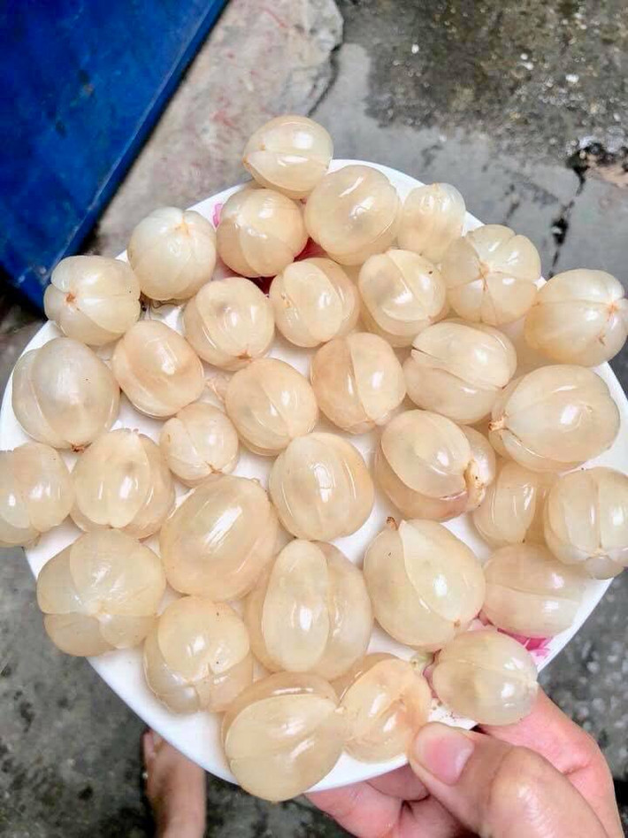 Ăn quả bòn còn còn có thể giúp bạn giảm cân. Ảnh: hoaquauudam.