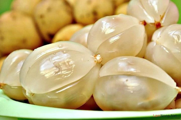 Quả bòn bon có chứa nhiều chất xơ nên rất hữu ích cho hệ tiêu hóa. Ảnh: vov.