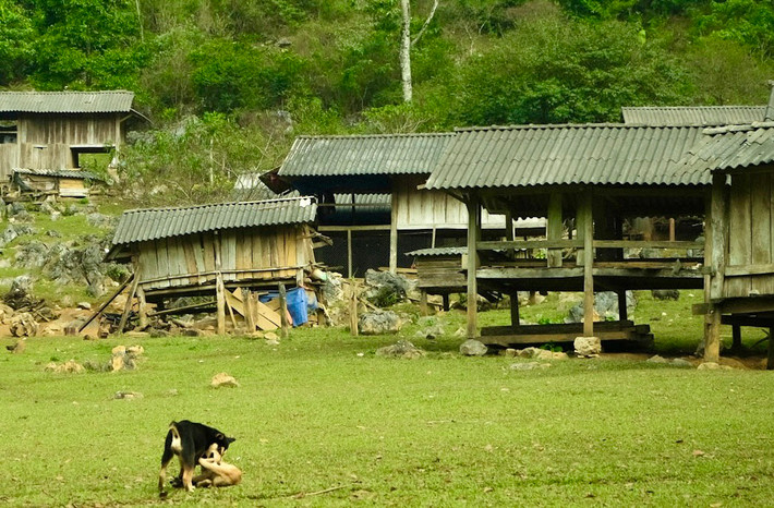 Hang Táu nằm biệt lập trong thung lũng, giữa chân núi và đồng cỏ. Ngôi làng chỉ có vỏn vẹn khoảng 20 hộ người đồng bào H'Mông sinh sống tạo thành một cụm nhà nên vẫn còn giữ nguyên vẹn nếp sống truyền thống, hoang sơ và bình yên. Người H'Mông tính cách độc lập, thích làm nhà ở những triền núi, mỏm núi cao vút, tách biệt với những cộng đồng dân cư khác.
