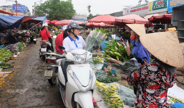 Đã nhiều ngày nay, từ 3h sáng đến 7h tối, hàng trăm tiểu thương ở Hà Nội và các vùng lân cận đổ về chợ hoa Quảng Bá - chợ hoa đầu mối lớn nhất Hà Thành để nhập hàng cho ngày 8/3.