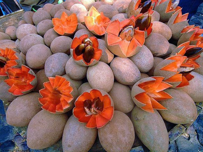 Đúng như tên gọi, thịt hồng xiêm có màu đỏ lạ mắt, mùi vị cũng ấn tượng thơm ngon như mùi hạnh nhân. Ảnh: Vov.
