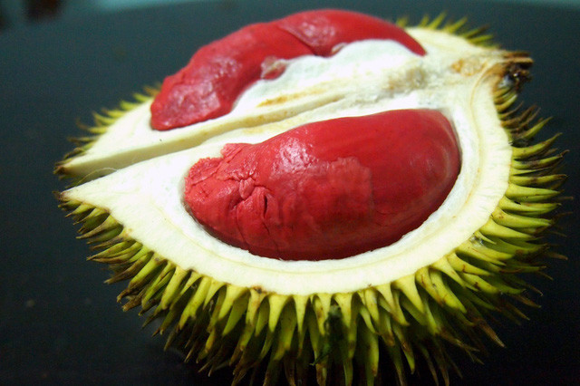 Sầu riêng ruột đỏ là loại trái cây đặc sản của bang Sabah ở Malaysia. Khác với loại sầu riêng múi vàng, loại quả ruột đỏ này có vỏ màu vàng rất đặc trưng. Ảnh: Mediacdn.