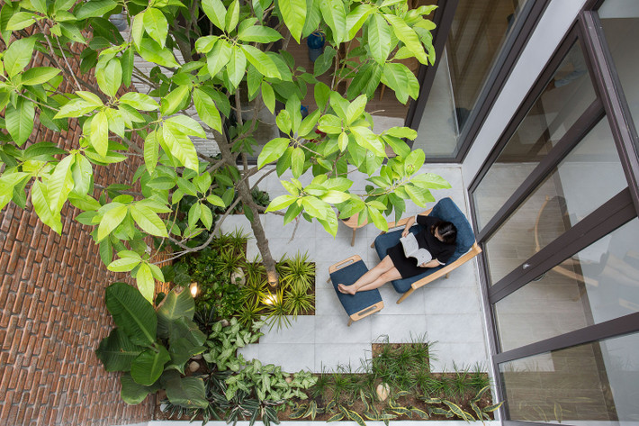 Khu vườn nhỏ này giúp mang lại ánh sáng và gió mát cho toàn bộ không gian tầng 1. Đây cũng là nơi để cả gia đình nghỉ ngơi, thư giãn và đọc sách.