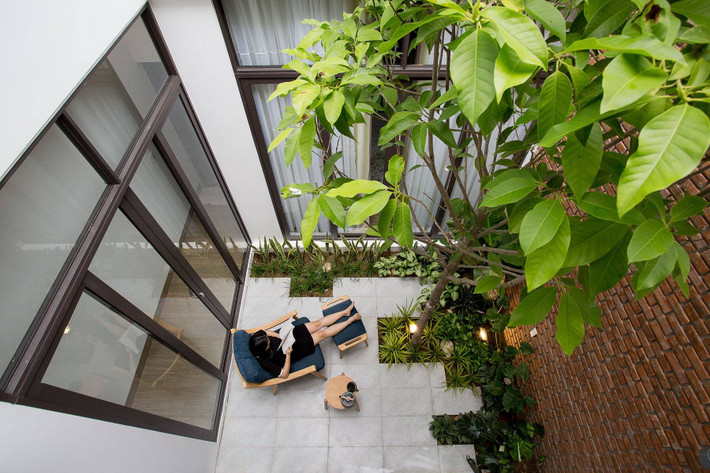 Ngọc lan cũng là một trong những loại cây thân gỗ được yêu thích tại Việt Nam bởi có tán lá đẹp và đặc biệt là hoa rất thơm. Ảnh: Happynest.
