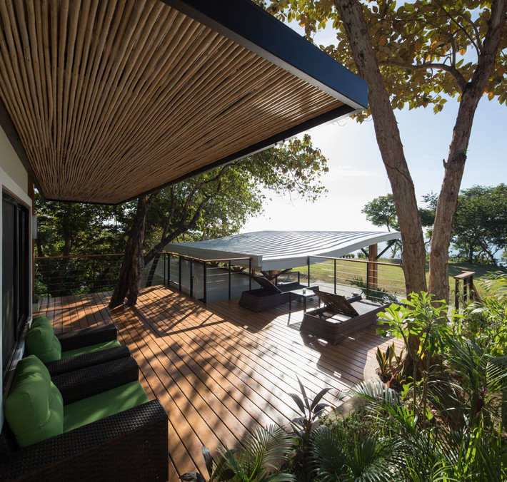 Trong quá trình xây dựng Earth and Sea House, đội ngũ thi công đã không đốn hạ cây xanh mà giữ chúng lại.