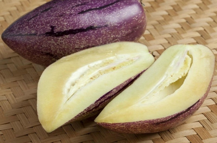 Tuy nhiên, dưa pepino tím khó trồng, trái ít và tốn công chăm sóc nhiều hơn so với những loại cây trồng khác. Ảnh: Blogspot.