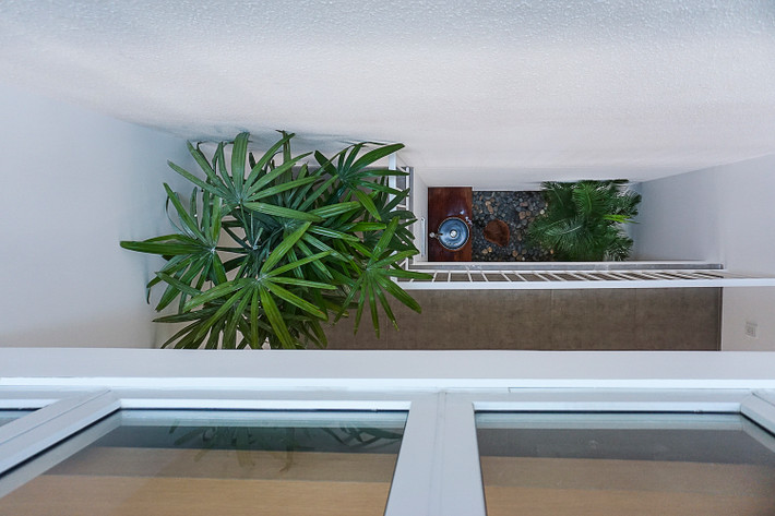 Dù chỉ vỏn vẹn 43m2 nhưng ngôi nhà vẫn có không gian riêng dành cho cây xanh.