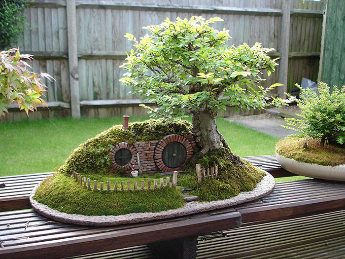 Tiểu cảnh bonsai này được lấy cảm hứng từ nhà ở của người Hobbit. Đây là tác phẩm của nghệ nhân Chris Guise.