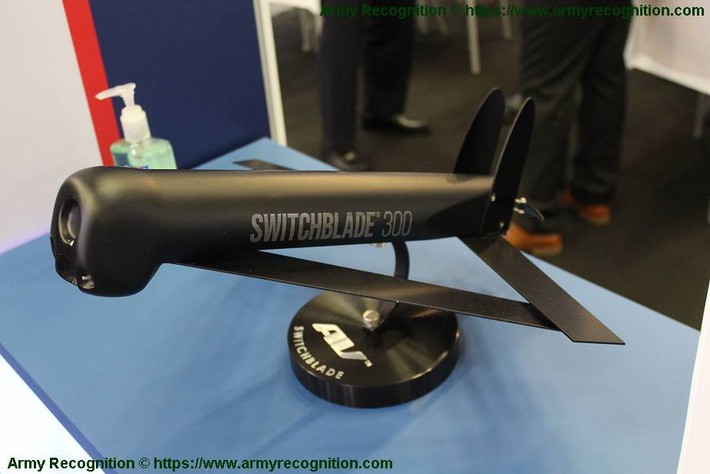 Với phiên bản UAV Switchblade 300 có trọng lượng nhẹ hơn, chuyên dùng để tấn sinh lực lộ và chỉ có thể bay lơ lửng trong không trung 15 phút, trước khi tấn công mục tiêu, với tốc độ bổ nhào 185km/h.