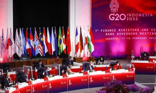 Tuy nhiên, thái độ của các nhà lãnh đạo của các nước lớn NATO nói trên giống nhau một cách đáng ngạc nhiên và họ đều trực tiếp từ chối bày tỏ quan điểm của mình.
