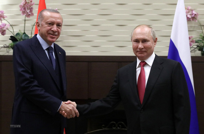 Với nỗ lực trung gian hòa giải, Tổng thống Thổ Nhĩ Kỳ Recep Tayyip Erdogan đã có cuộc đối thoại với Tổng thống Nga để tìm giải pháp giải quyết xung đột, nhanh chóng kết thúc chiến sự ở Ukraine.
