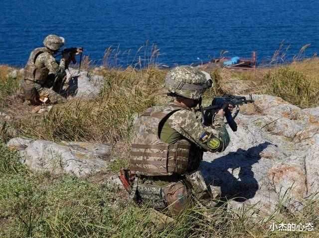 Ngoài ra phía Ukraine cũng gom được một số tàu nhỏ còn lại trong hải quân và một lực lượng tấn công tinh nhuệ. Ý đồ của Quân đội Ukraine là bất ngờ chiếm Đảo Rắn nhân dịp duyệt binh nhân Ngày Chiến thắng 9/5 của Nga; đồng thời tạo tiếng vang về tuyên truyền, khiến Nga lúng túng.