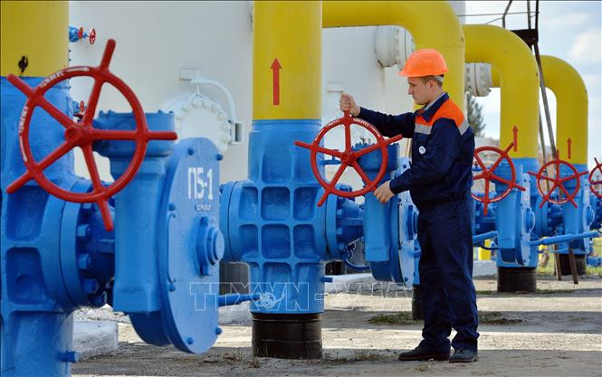 Hiện nay hơn một nửa sản phẩm năng lượng của các nước EU được nhập khẩu, trong đó Nga cung cấp 41% khí đốt tự nhiên, 46% than đá và 27% dầu mỏ. Đặc biệt, Đức phụ thuộc vào Nga với 55% nguồn cung cấp khí đốt tự nhiên.