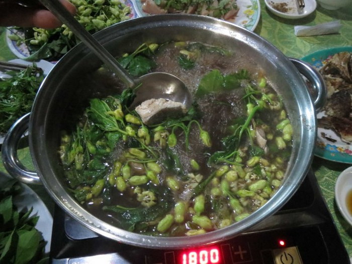 Bông mỏ quạ mềm, hơi giống bông thiên lý nhưng có vị ngọt hơn. Do đó các đầu bếp thường dùng để xào thịt bò, xào tép, chấm mắm kho, nhúng lẩu. Nó được chế biến món ăn từ bông dây mỏ quạ như luộc, nấu canh tới hấp đều khoái khẩu, độc đáo nhất là xắt mỏng xào với tôm, tép hoặc thịt bò. Ảnh: Dacsanmientay.