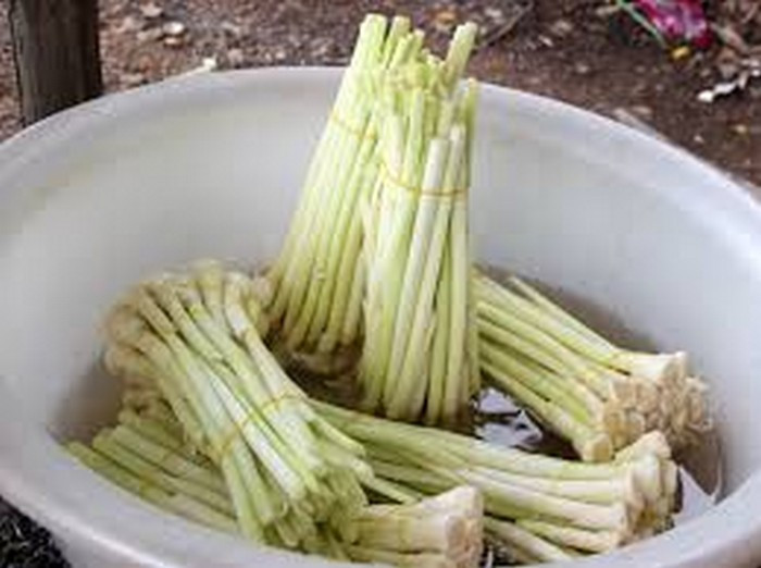 Canh rau bồn bồn nấu lươn. Rau bồn bồn là loại đặc sản miền Tây có vị thanh mát, chua chua. Nó được dùng làm đủ các món như canh, kho, muối, xào. Nhưng có lẽ ngon nhất vẫn là nấu canh. Để nấu canh lươn bồn bồn cần có rau bồn bồn, cà chua, lươn, hành mùi và gia vị. Ảnh: Zingnews.