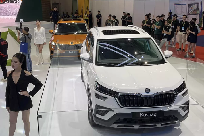 Tại các thị trường quốc tế, Skoda Kushaq được hãng cung cấp 2 loại động cơ xăng. Thứ nhất là máy 1.0L 3 xy-lanh 115 mã lực/178 Nm đi kèm hộp số sàn 6 cấp hoặc tự động 6 cấp. Thứ hai là loại 1.5L 4 xy-lanh 150 mã lực/250 Nm kết hợp cùng hộp số sàn 6 cấp hoặc ly hợp kép 7 cấp. Hiện chưa rõ loại động cơ nào sẽ được trang bị cho Kushaq khi xe bán ra ở Việt Nam.