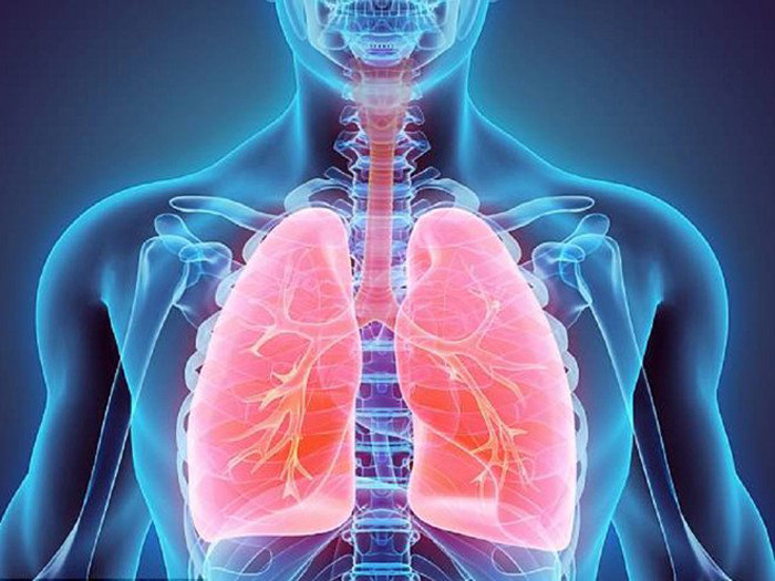 Viêm phổi. Viêm phổi do nhiễm trùng phổi gây ra, khiến các tổ chức tại phổi bị viêm và ảnh hưởng tới chức năng hoạt động. Trẻ bị viêm phổi có dấu hiệu thở nhanh, sốt cao và ớn lạnh, ho khan, đau ở ngực – đặc biệt là khi thở. Bệnh do virus, vi khuẩn hoặc biến chứng từ cúm, cảm lạnh, viêm họng.