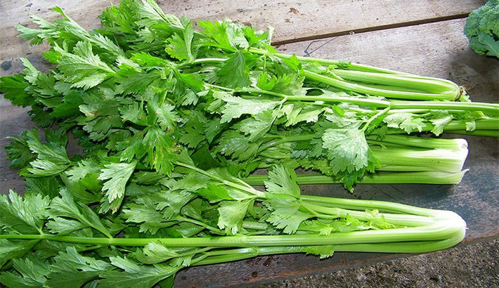 Ví dụ hàm lượng carotene trong cuống lá cần tây là 0,1mg/100gr, trong khi hàm lượng trong lá cần tây là 1,5mg/100gr tức là gấp 15 lần so với thân cây. Vì vậy lá cần tây chính là một kho báu mà bạn chớ nên vứt bỏ.