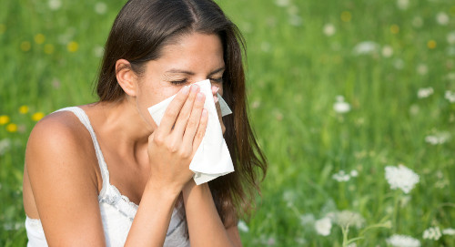 Chống cảm cúm. Dưa lê có tác dụng kích thích hệ hô hấp, giúp làm long đờm và khạc đờm ra ngoài. Ngoài ra, dưa lê còn giàu vitamin C, một loại vitamin đóng vai trò quan trọng trong chức năng của hệ miễn dịch và có thể giúp chống lại virut gây sốt và cảm cúm.