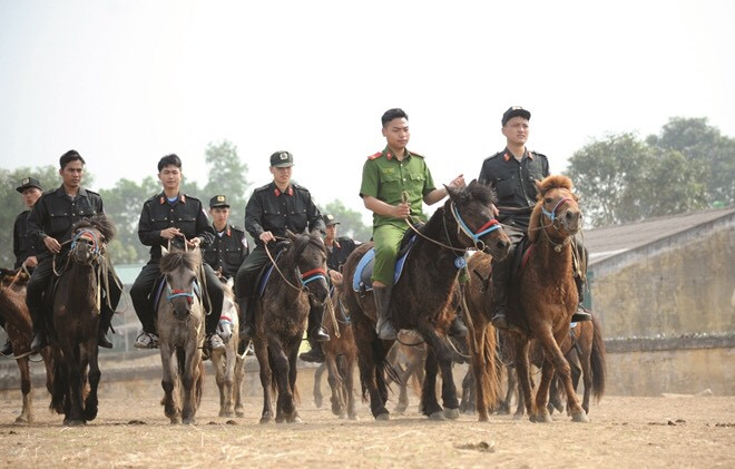 Đoàn CSCĐ Kỵ binh hiện đang đóng quân tại xã Bình Sơn, TP Sông Công, tỉnh Thái Nguyên. Trung tâm huấn luyện cũng đang có hơn 100 con ngựa, từ 2-4 tuổi. Trong đó có 70 con được đưa vào huấn luyện, số còn lại là ngựa giống để sinh sản. Ảnh: Công tác huấn luyện ngựa tại Đoàn CSCĐ Kỵ binh. Nguồn: Công An Nhân Dân