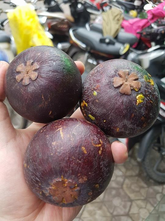 Với những người quá nhạy cảm, sử dụng quá nhiều măng cụt có thể gây dị ứng, nhẹ thì mẩn đỏ, ngứa, còn nặng hơn thì gây tức ngực, sưng miệng,...(Nguồn Blogspot)