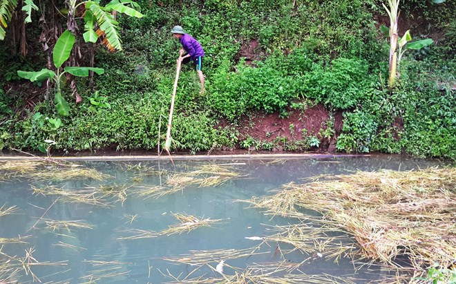 Hiện tượng trên được người dân xóm Quà, xã Yên Lập, huyện Cao Phong phát hiện từ sáng sớm ngày 4/7 vừa qua và vẫn tình trạng tôm cá chết bất thường chưa có dấu hiệu ngừng lại