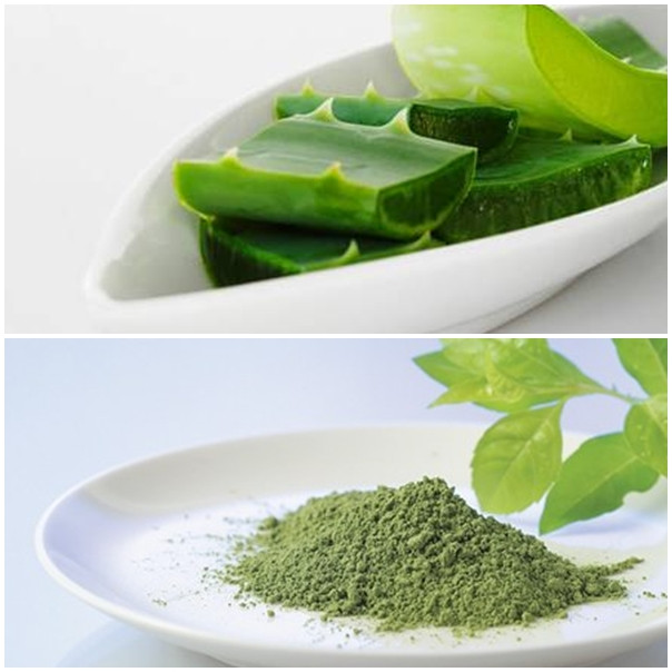 Trà lô hội. Trà nha đam có tác dụng thanh lọc cơ thể và tăng cường hệ thống miễn dịch hiệu quả. Đặc biệt tốt trong việc giảm các tổn thương do hút thuốc lá và tác động của khói thuốc lá. Nếu bạn hút thuốc trong một thời gian dài thì trà lô hội là lựa chọn thay thế tốt nhất.