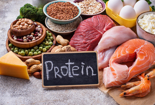 Thứ nhất, thực phẩm giàu protein góp phần cung cấp năng lượng, giúp cơ thể hoạt động hiệu quả, góp phần xây dựng cơ bắp.