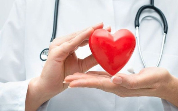 Cải thiện sức khỏe tim mạch. Các thành phần của gừng góp phần kiểm soát lượng đường trong máu, duy trì độ “mềm” của các mao mạch, đảm bảo chức năng hệ tuần hoàn. Ngoài ra, natri salicylat trong gừng còn có thể cải thiện nồng độ máu và ngăn ngừa xơ vữa động mạch chủ hiệu quả.