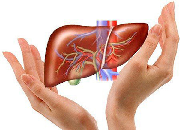 Quá trình hoạt động, gan cần thời gian nghỉ ngơi để tự sửa chữa. Thời gian ngủ được ví như thời gian “tự làm sạch” của gan. Y học cổ truyền Trung Quốc cho rằng chất lượng giấc ngủ càng cao thì hiệu quả tự phục hồi và làm sạch của gan càng cao, có lợi cho sức khỏe của gan.