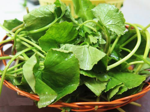 Lý do vì rau má chứa nhiều loại vitamin như vitamin B1, B2, B3, K, C…chất xơ và nhiều dưỡng chất khác có tác dụng tái tạo lại làn da mịn màng, trắng sáng, làm mờ sẹo, đặc biệt là sẹo rỗ. Ảnh: mediacdn.
