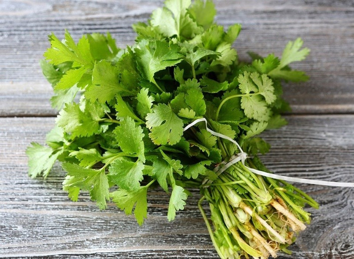 Rau mùi còn giúp chị em phụ nữ giảm đau bụng trong những ngày đèn đỏ cực nhanh và hiệu quả. Ảnh: vietq.