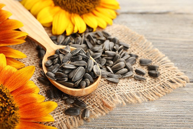 Với lượng vitamin E dồi dào, hạt hướng dương cũng sẽ giúp bảo vệ da không bị tổn hại do những tia bức xạ cực tím gây nên. Ảnh: suckhoexanh.