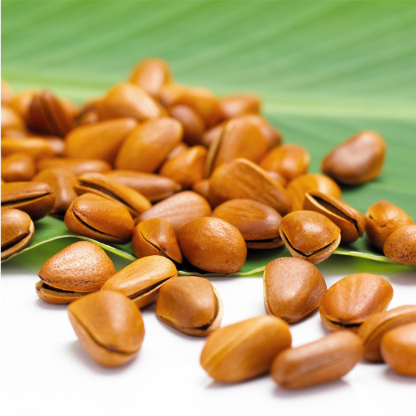 Hạt thông giúp bạn có một trái tim khỏe mạnh do chứa nhiều Vitamin E, Vitamin K, đồng, sắt, mangan, nguồn cung chất béo không bão hòa đơn với mức Cholesterol thấp, sẽ giúp máu lưu thông tốt hơn. Ảnh: saigonfoodmarket.